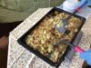 野外食を行いました
